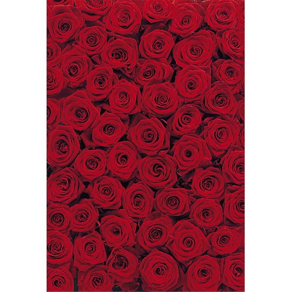 Brewster Home Fashions Roses Wall Mural 106 in 4077